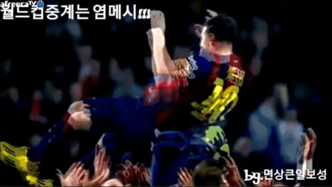A-염보성!! - 염보성 아르헨티나 vs 프랑스 결승전 대기 제발 메느님.....