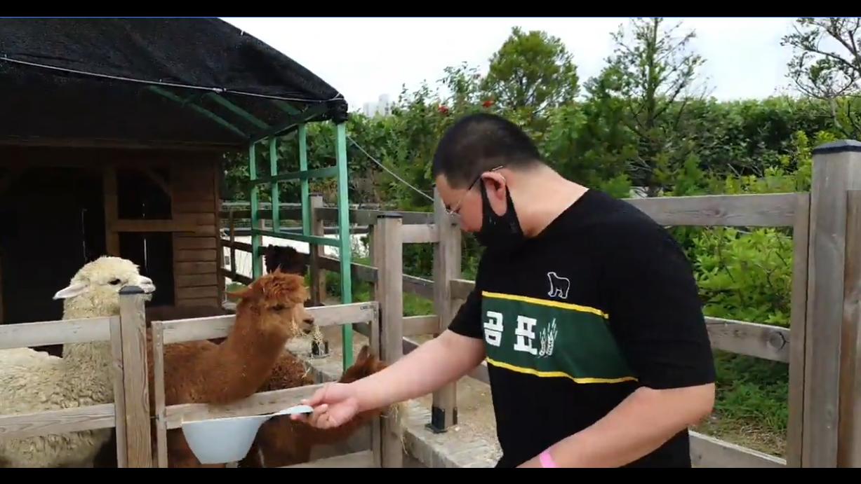 💦오종한테 침 뱉는 알파카 ㅋㅋㅋㅋㅋㅋㅋㅋ💦 | 아프리카Tv Vod