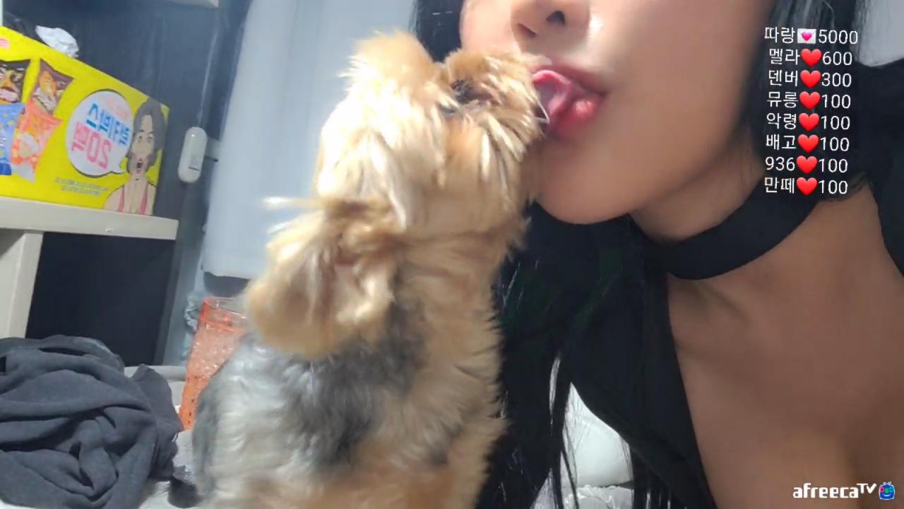 🐶[박라희] 딮키스 ㄷㄷ🐶 | Afreecatv Vod