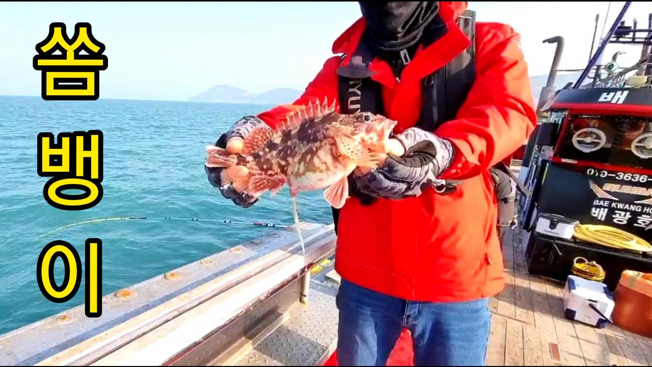 쏨뱅이 씨알이 왜? 이렇게 크노🎣 다잡을꼬니 | SOOP VOD