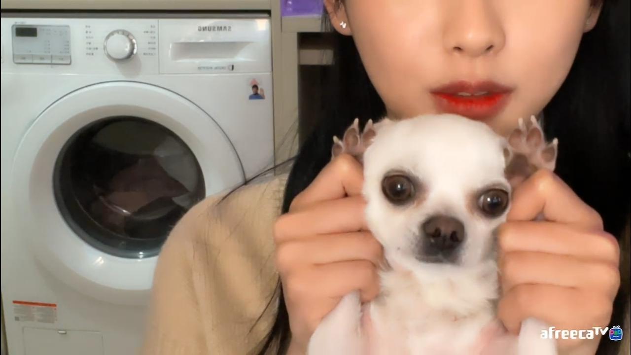 [클립]🐶고말숙누나👧🏻 | 아프리카Tv Vod