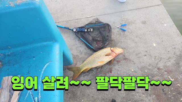 [클립🎣🌈💖]대물 잡자3💖🌈🎣👍🏻 | SOOP VOD
