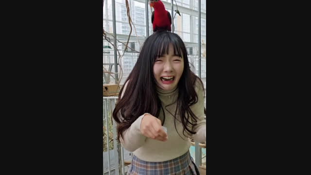 [캐치] 산골소녀 ♥ 조류공포증 버드파크 간다!! ♥ | 아프리카Tv Vod