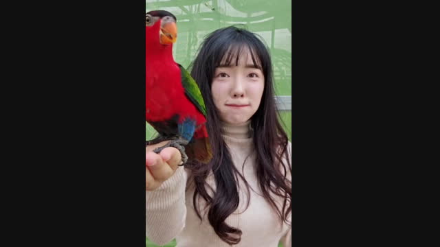 [캐치] 산골소녀 ♥ 조류공포증 버드파크 간다!!♥ | 아프리카Tv Vod